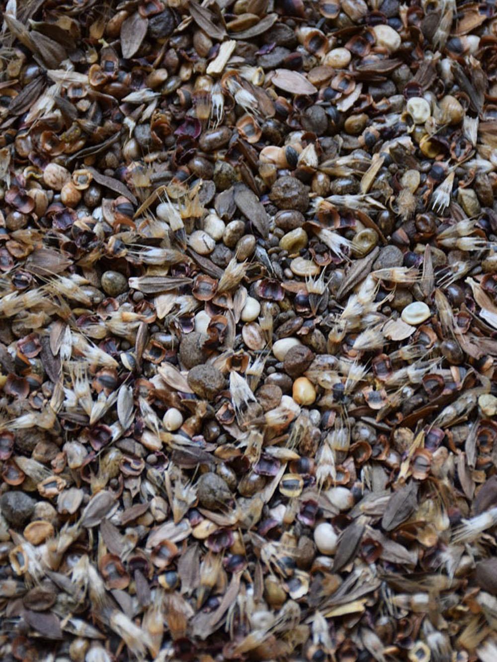 Deer Proof Wildflower Mix